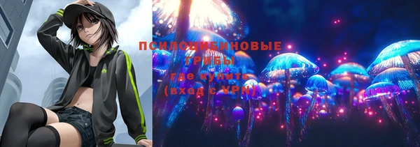 соль курить ск Новодвинск